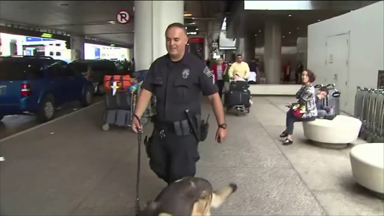 Immigration and Customs Inspectors