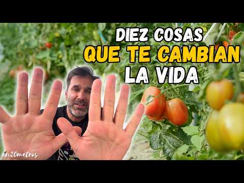 10 COSAS que CAMBIARON mi vida gracias a tener un HUERTO: no volverás a ser el mismo || en20metros