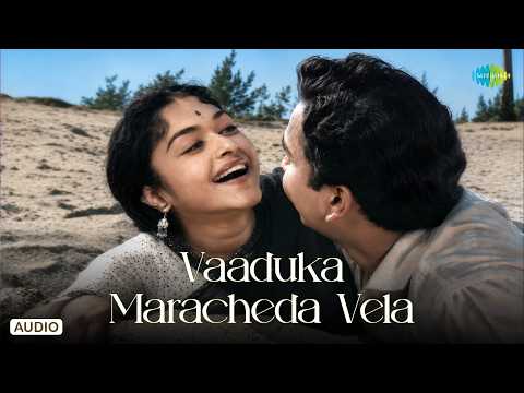 Vaaduka Maracheda Vela - Audio Song | Pelli Kaanuka | A.M. Rajah | P. Susheela