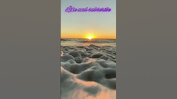 Relaxing Video of a Sunrise Beach #shorts