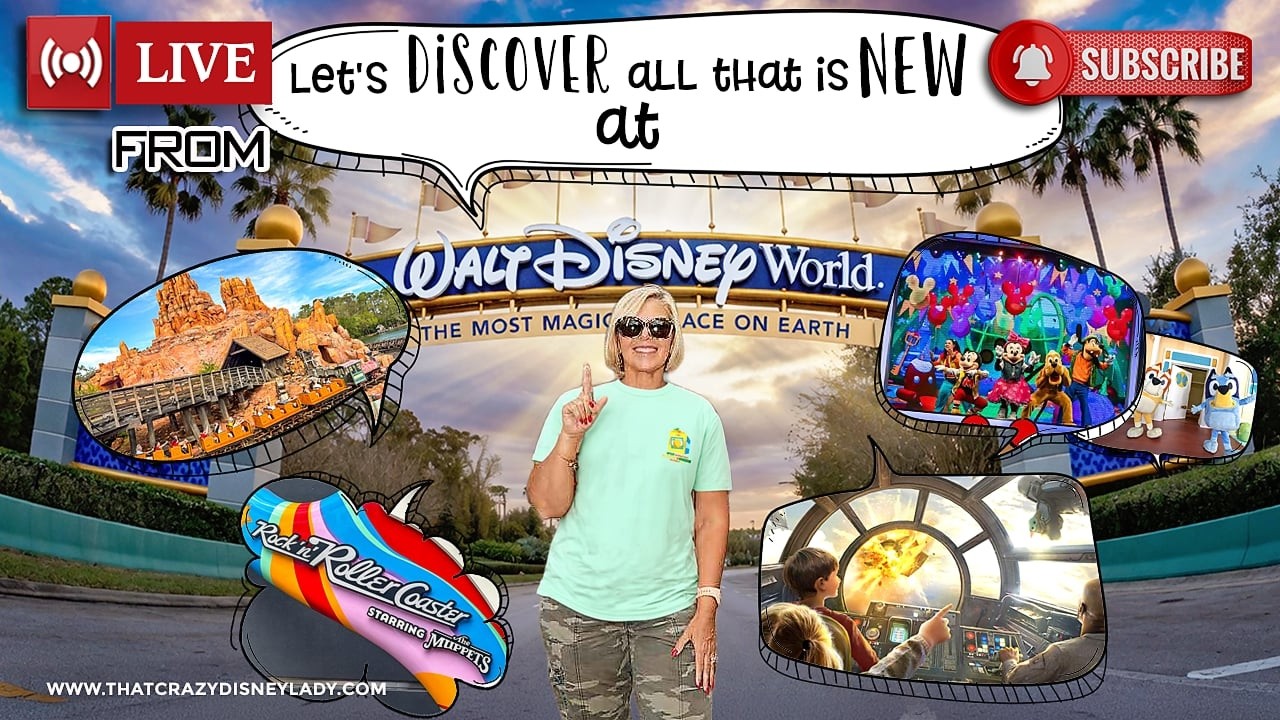 Cool Kids Summer/Bluey and Bingo/ New at Walt Disney World 5/26/26 #live