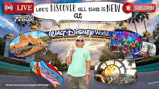 Cool Kids Summer/Bluey and Bingo/ New at Walt Disney World 5/26/26 #live
