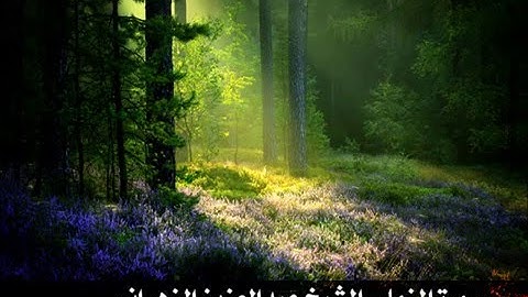 سورة المزمل - تلاوة خاشعة للشيخ عبد العزيز الزهراني