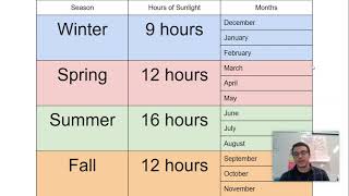 1st Grade Science: Weather Patterns