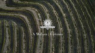 A Malosa (Valdeorras) - Virgen del Galir