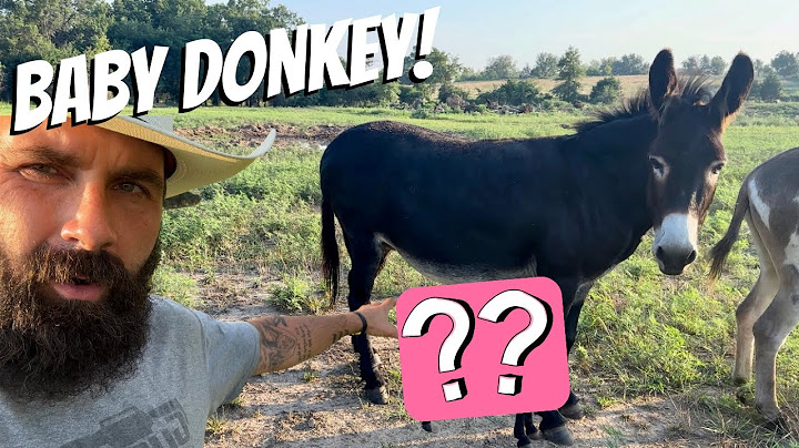 We Weren’t EXPECTING This!