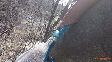 Remote Rigging with a Leather Cambium Saver - John Massing