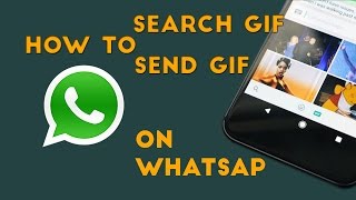 How to Search GIF and Send GIF on WhatsApp