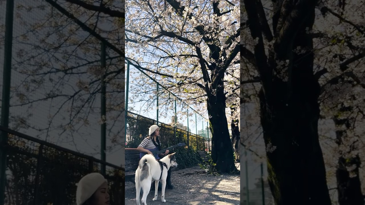 Vibing under the tree 🌲 #enyaguitars #enyainspire