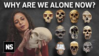 Ancient Human Species We Once Coexisted With