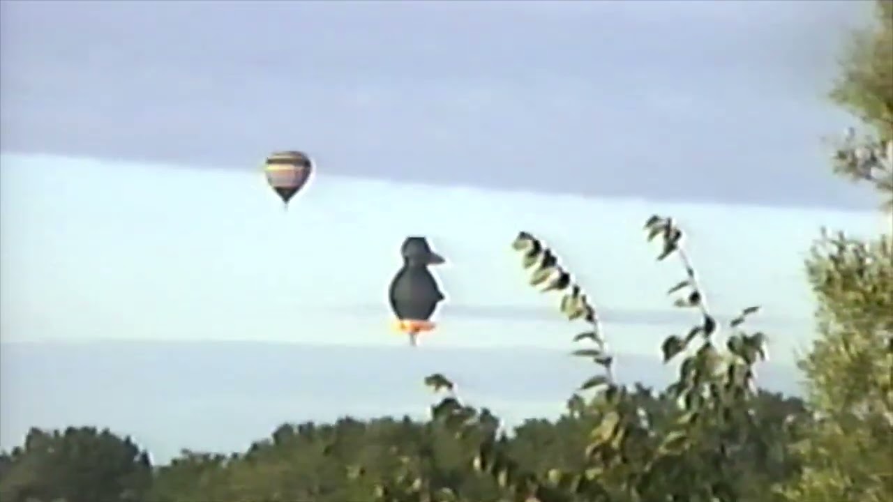 Observation de chevreuils et temps au camps