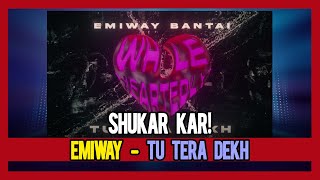 PAKISTANI RAPPER REACTS to EMIWAY - TU TERA DEKH [Official Audio]