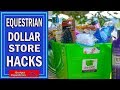 Equestrian Dollar Store Hacks