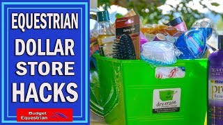 Equestrian Dollar Store Hacks