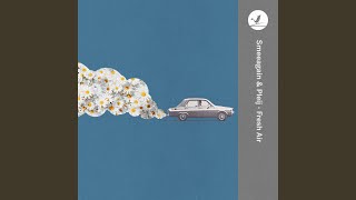 Fresh Air - Smeeagain, Pleij