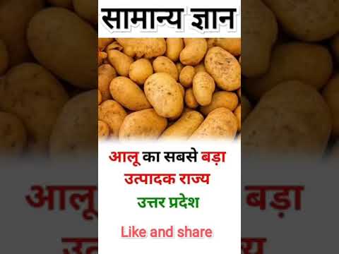 Gk|| आलू का सबसे बड़ा राज्य#shorts_study