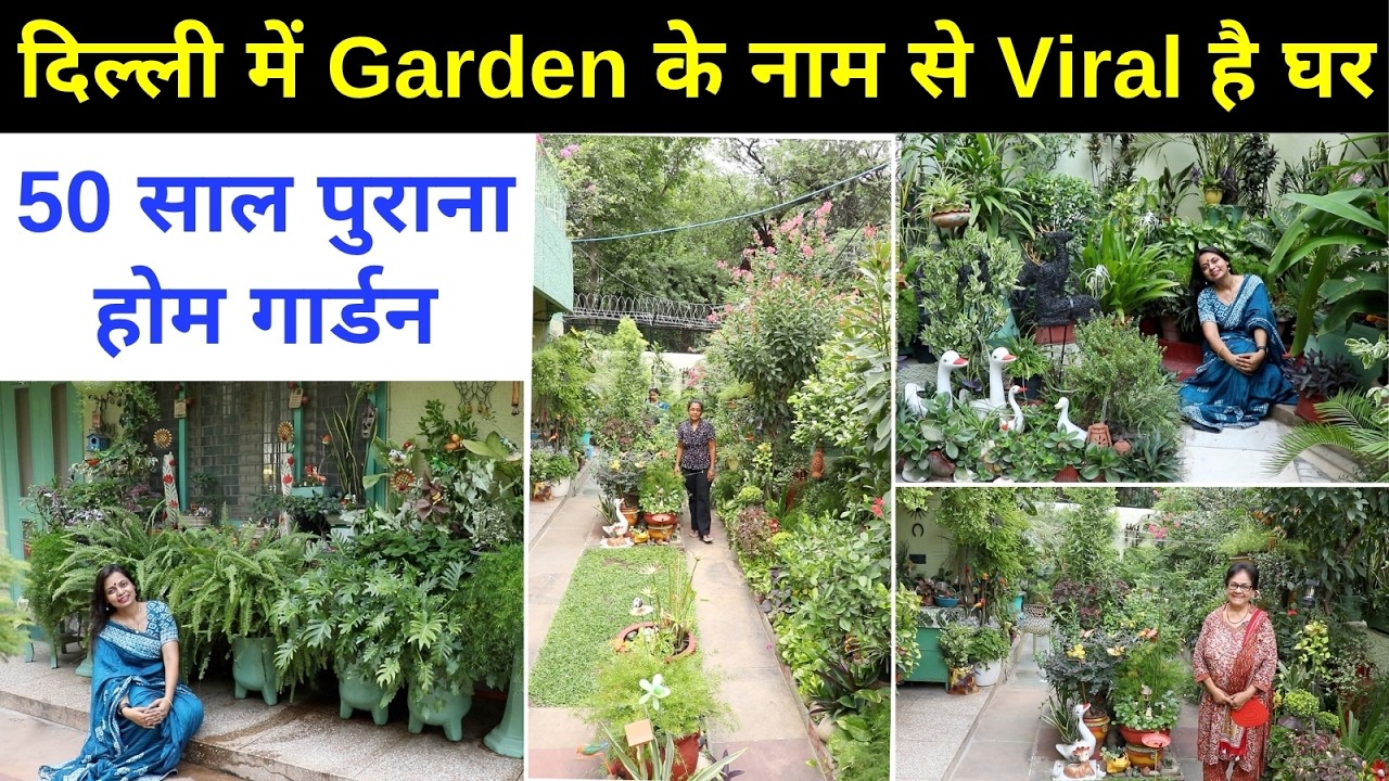 दिल्ली का सबसे पुराना होम गार्डन 😍 लगे है हज़ारों Plants, Home Decors
