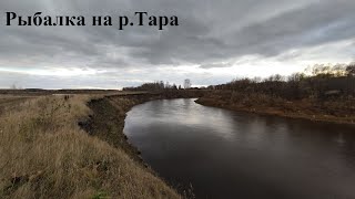 OmskSpin #94. Джиг на реке Тара в Омской области. Рыбалка в октябре 2021.