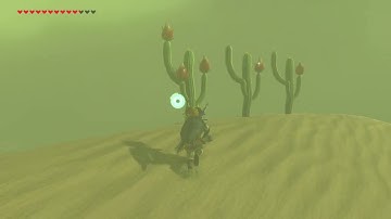 [DAY 411] of finding one korok seed everyday until Botw2 comes out