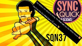 Sync Quick News Cat People