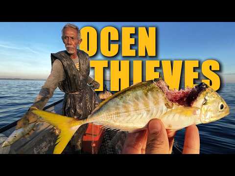 1,000 Meters of Net vs. Ocean Thieves: A 73-Year-Old Veteran's Daily Catch