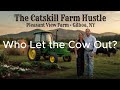 Who Let the Cow Out - Fixing Fences