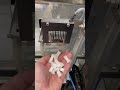 nicotine pouch packing machine