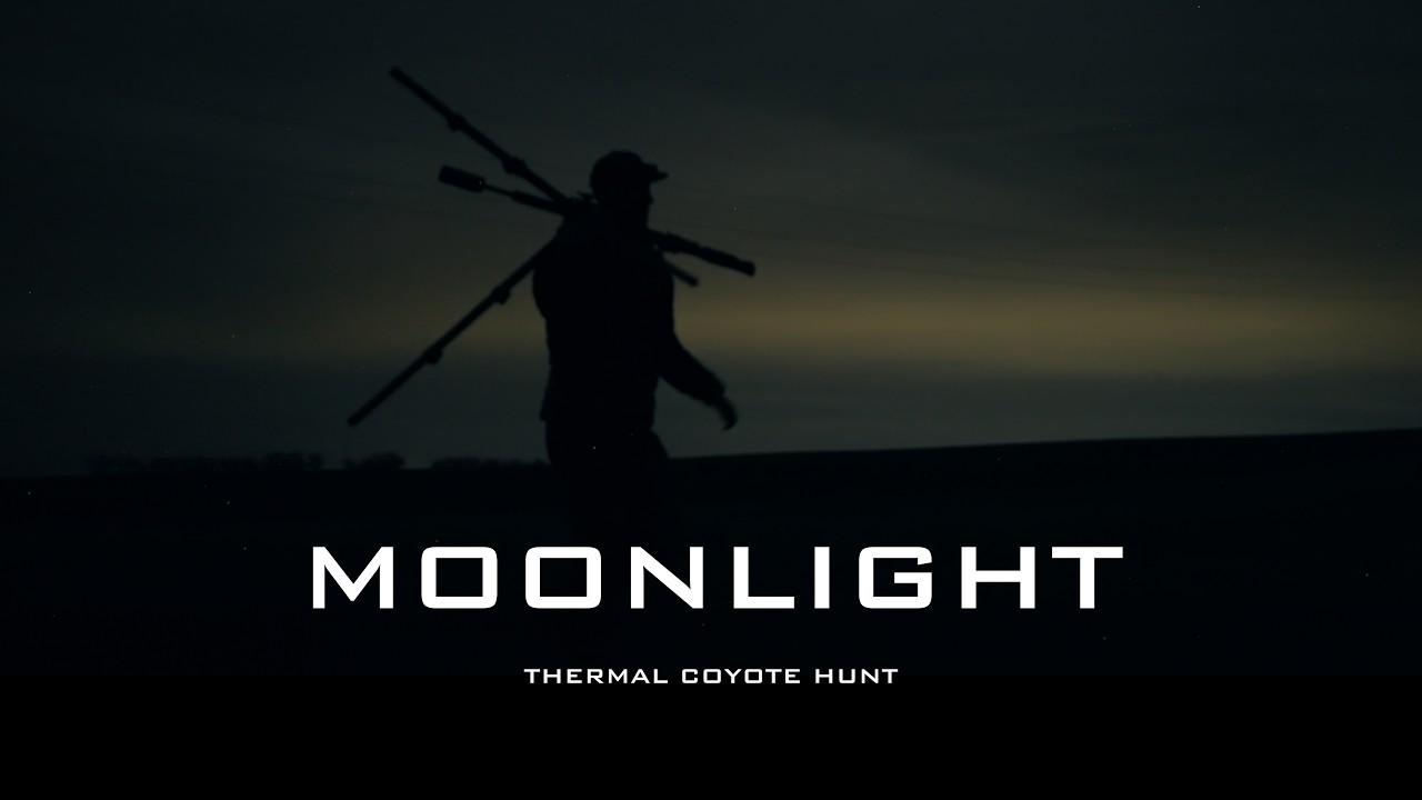 MOONLIGHT | Thermal Coyote Hunt | Shot Entirely With Moonlight