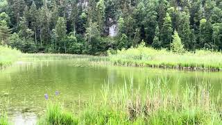 IMG 5702