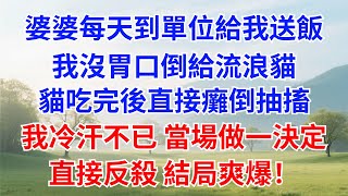 婆婆每天到單位給我送飯，我沒胃口倒給流浪貓，貓吃完後直接癱倒抽搐，我冷汗不已當場做一決定，直接反殺 結局爽爆！