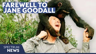 Jane Goodall’s life and legacy: A look back at 91 years of change