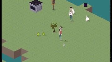 wnull dev - avocado test with vue.js