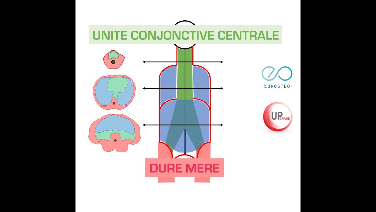 Definition Du Mot Facile Definition Du Mot Facile