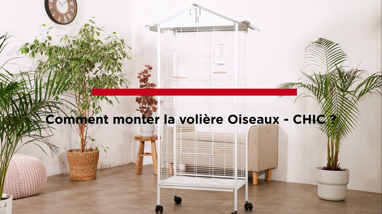 Comment monter la Volière Oiseaux - CHIC ?