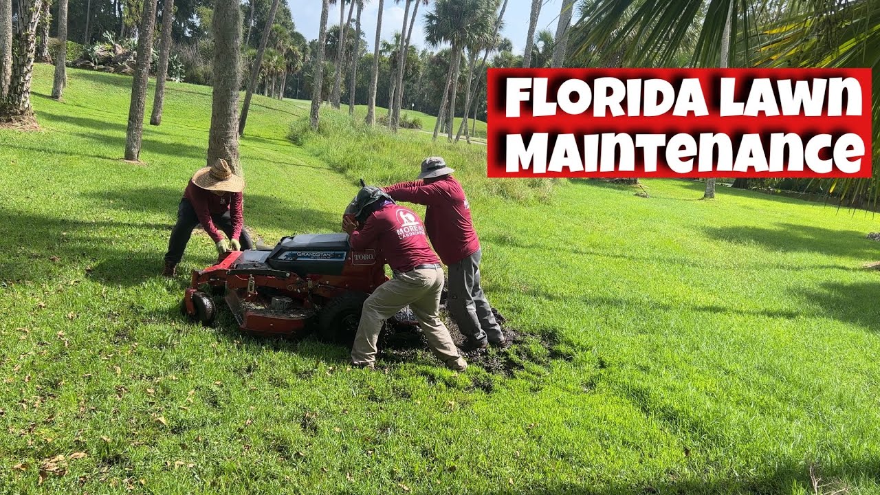 2023 Florida Lawn Maintenance 8 Day 2 Demo Toro Grandstand 2023-florida-lawn-maintenance-8-day-2-demo-toro-grandstand