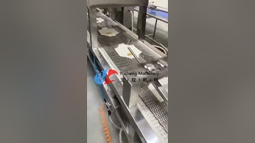 Spring Roll Machine #machine #manufacturing #frozenfood