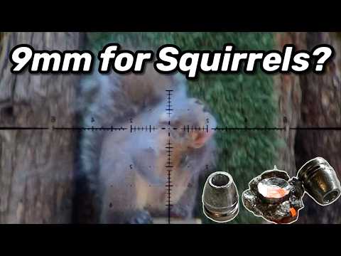 Is 9mm The Best For Squirrels?