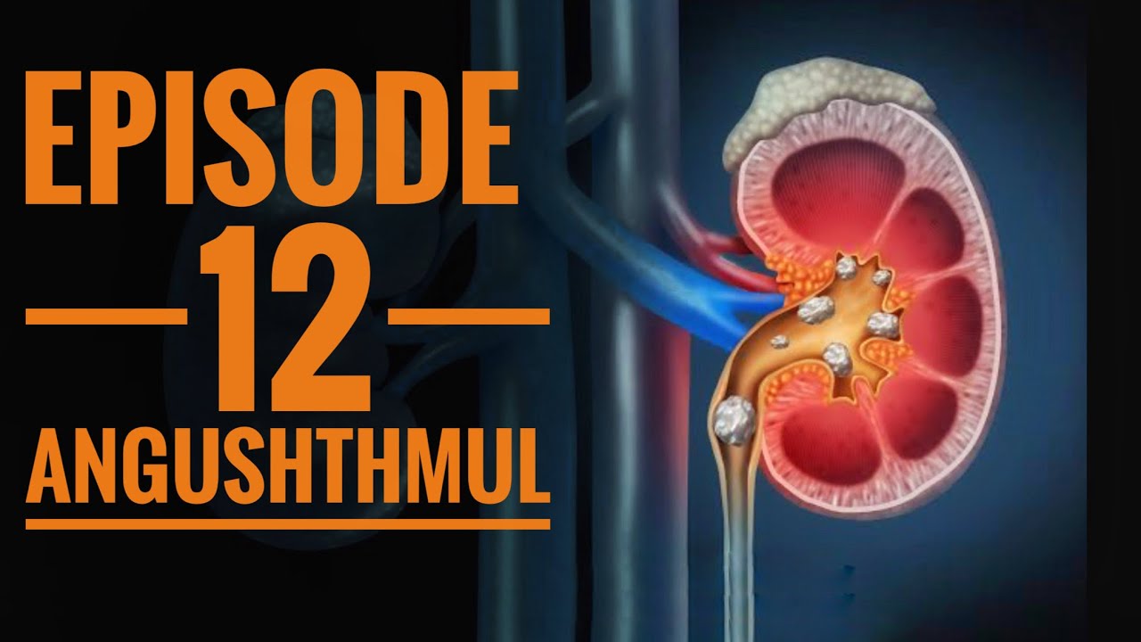 Viddhakarma - Episode 12 | The Angushth mul - YouTube