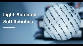 Light-Actuated Soft Robotics screenshot 5