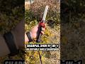 SHARPAL 210N 11-In-1 Adjustable Angle Sharpener #knifesharpener #outdoors #multiuse #tools #foryou