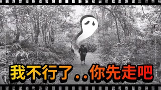 【懷舊影片】【韓國人爬山】 人生。不簡單  뒷동산인 줄 알았지 뭐야......