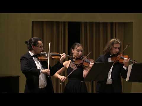 J. Rodrigo - Zarabanda lejana, Moravský komorní orchestr