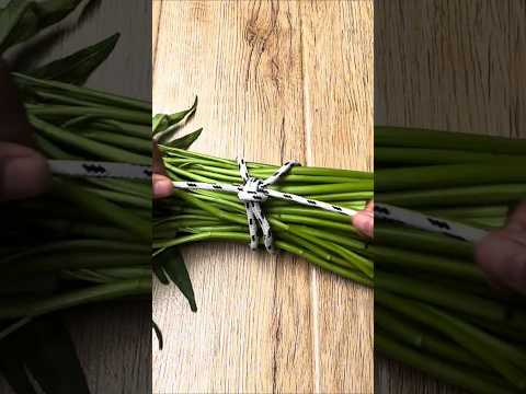 This Knot Is Very Simple And Practical Knot Knottying Shortvideo 