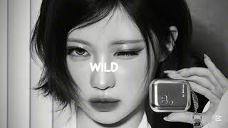 BABYMONSTER- WILD (slowed + reverb)