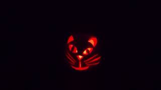 Happy Halloween!