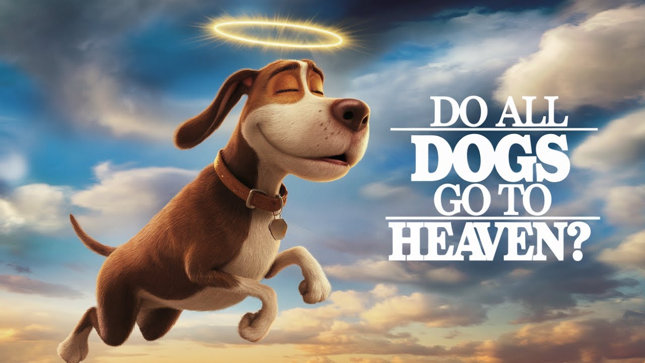 Do Dogs Go To Heaven When They Die