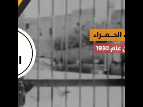 قصيدة الثلاثاء الحمراء ابراهيم طوقان مها عتماوي