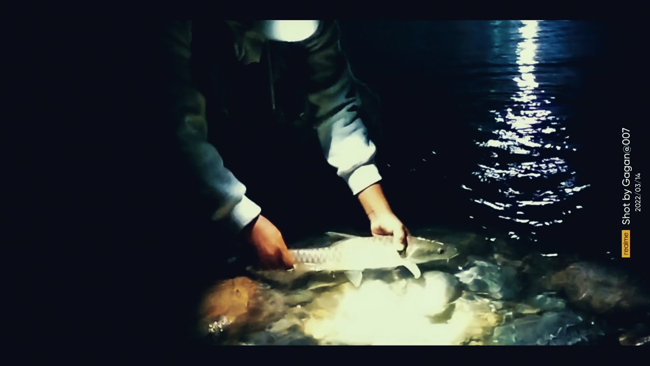 Lure fishing at night for mahseer in Teesta river YouTube