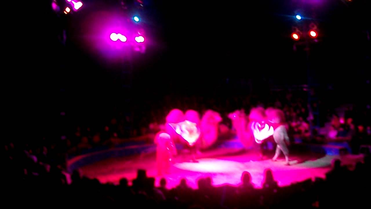 Circus Arena-Henry Frankello