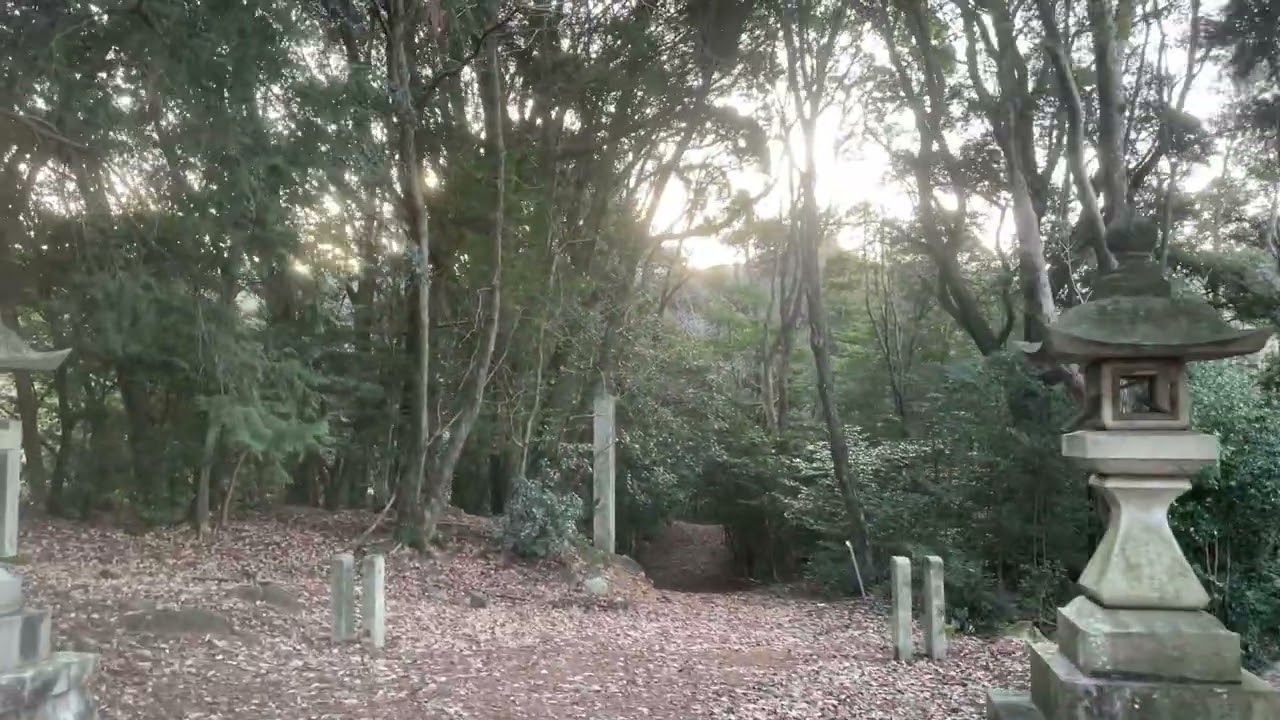 2026/1/3 熊野神社 奥宮